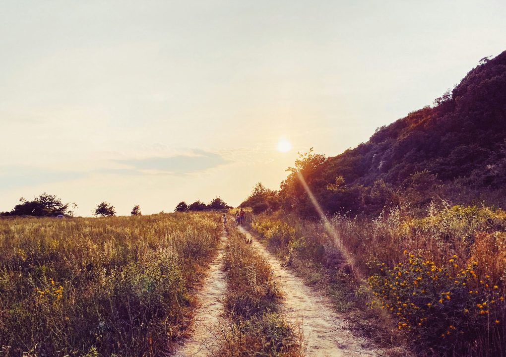 Path through a field